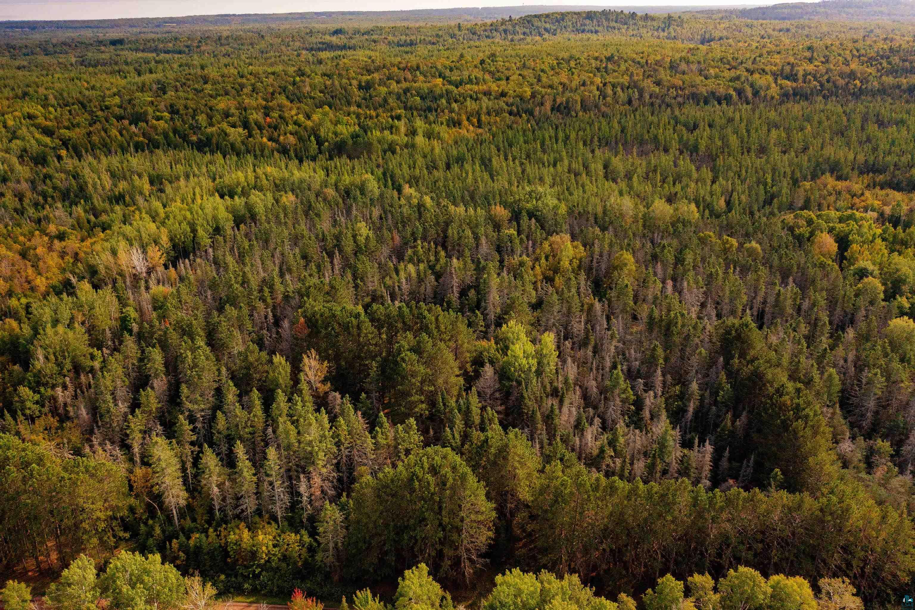 1912 Hegberg Road Duluth, MN 55804 - Photo 16 of 26