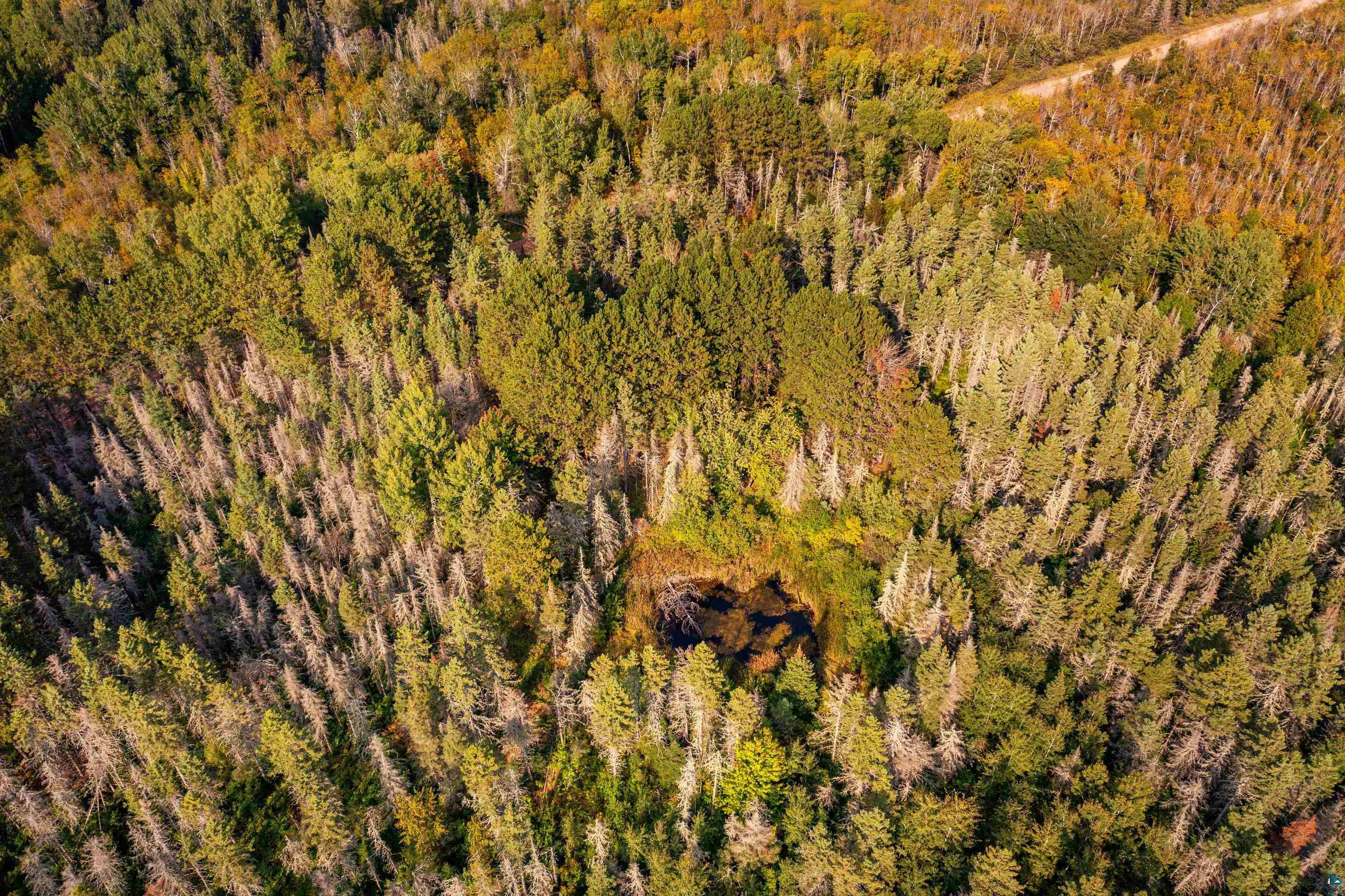 1912 Hegberg Road Duluth, MN 55804 - Photo 23 of 26