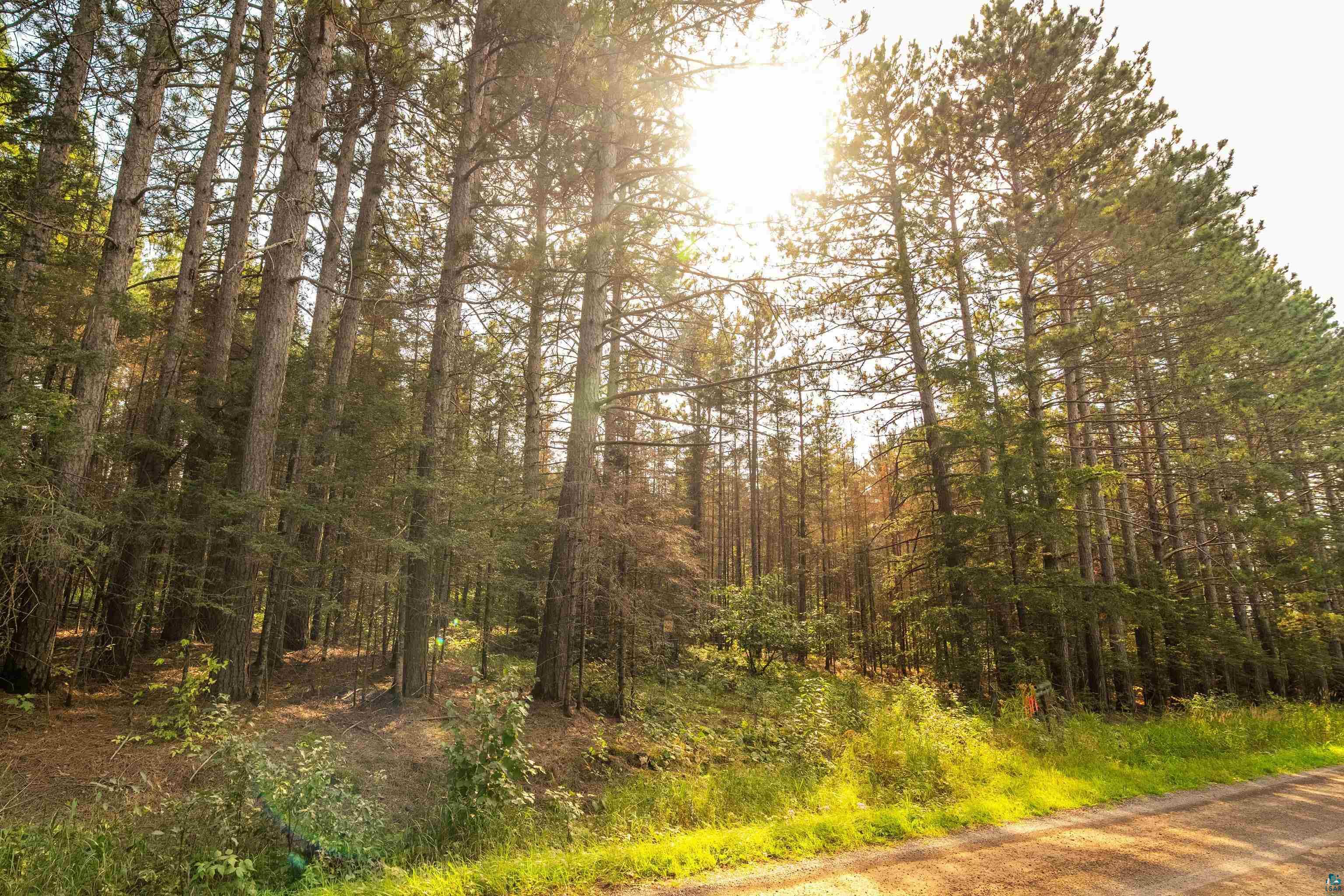 1912 Hegberg Road Duluth, MN 55804 - Photo 6 of 26