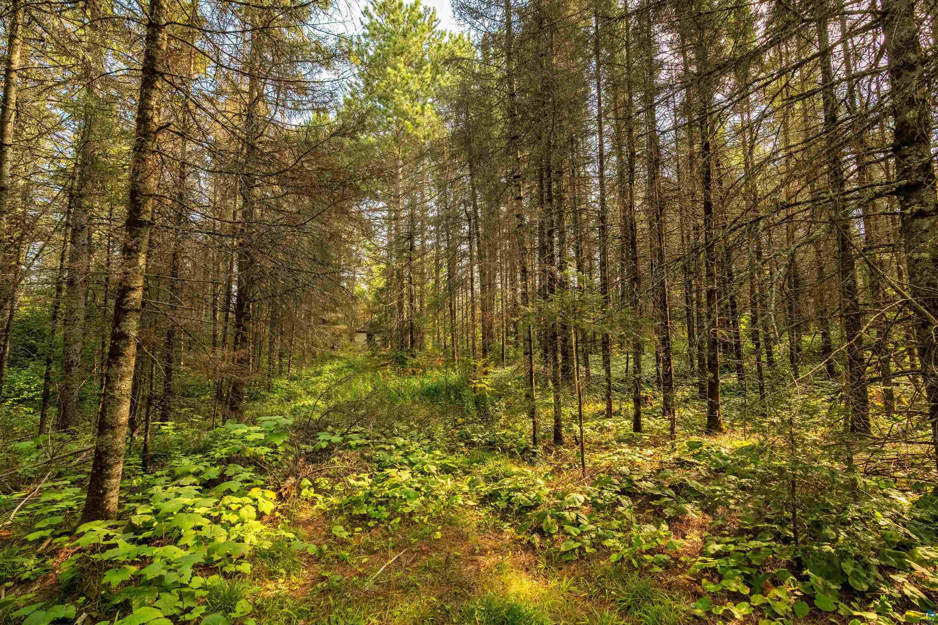 1912 Hegberg Road Duluth, MN 55804 - Photo 9 of 26