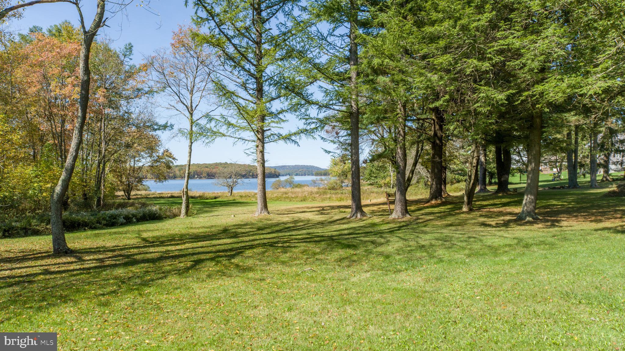 249 Hazelhurst Road Swanton, MD 21561 - Photo 9 of 50