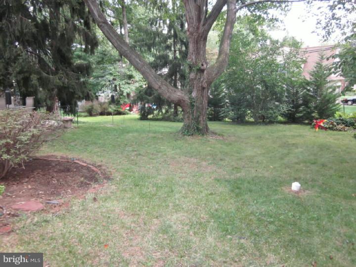 263 Hillcrest Road Wayne, PA 19087 - Photo 12 of 24 Back Yard