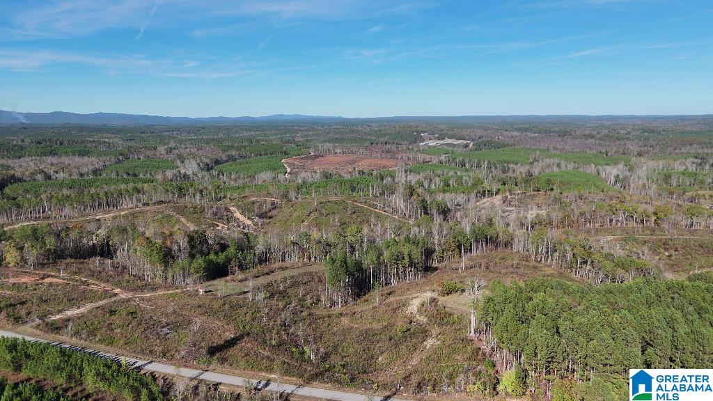 0 County Road 65 Fruithurst, AL 36262 - Photo 7 of 14