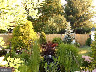 40 Elmont Road Hamilton, NJ 08610 - Photo 6 of 6