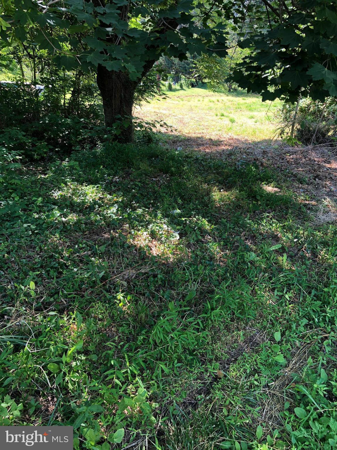 Liberty Road Randallstown, MD 21133 - Photo 3 of 8 a view of a yard with a tree