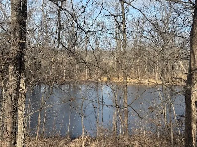 $425,000 | 5600 East Poney Creek Road, Freeman, MO 64746