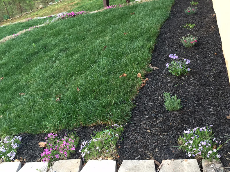 8718 Hidden Branches Road Harrison, TN 37341 - Photo 54 of 90 MLS LANDSCAPING BACK YARD