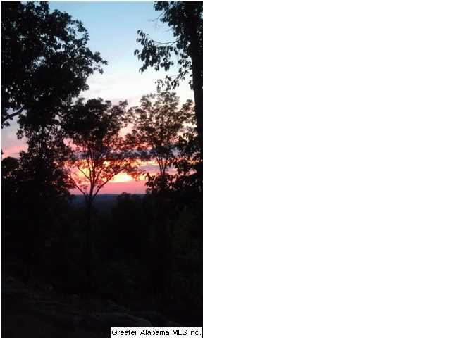 5978 South Shades Crest Road Bessemer, AL 35022 - Photo 32 of 32