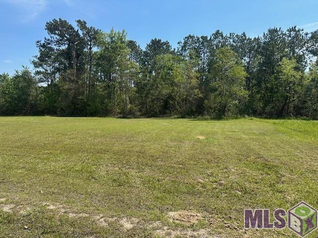 26404 Ponchatoula Drive Springfield, LA 70462 - Photo 1 of 1