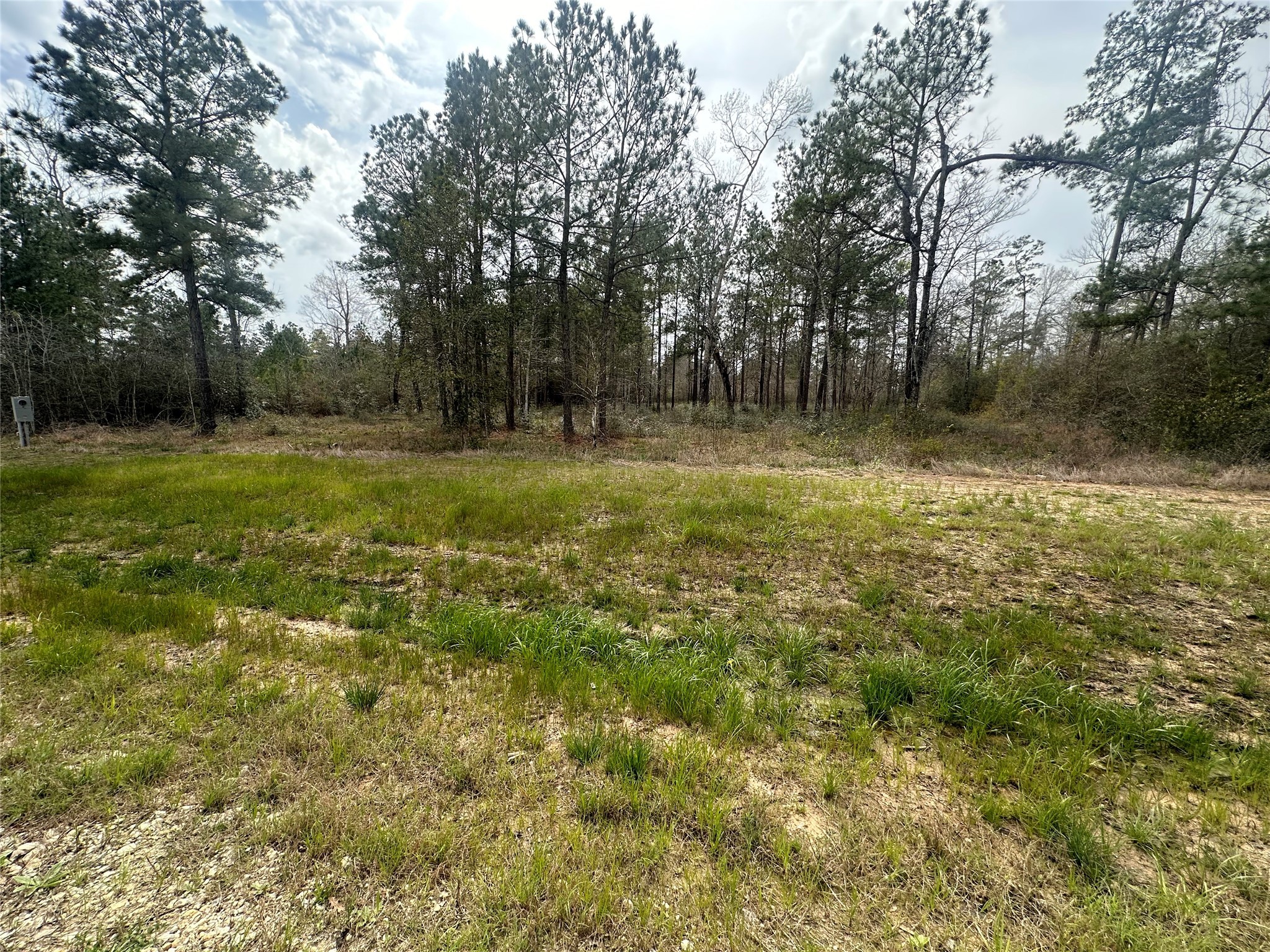 219 Iron Horse Road New Waverly, TX 77358 - Photo 2 of 3 a view of outdoor space and yard