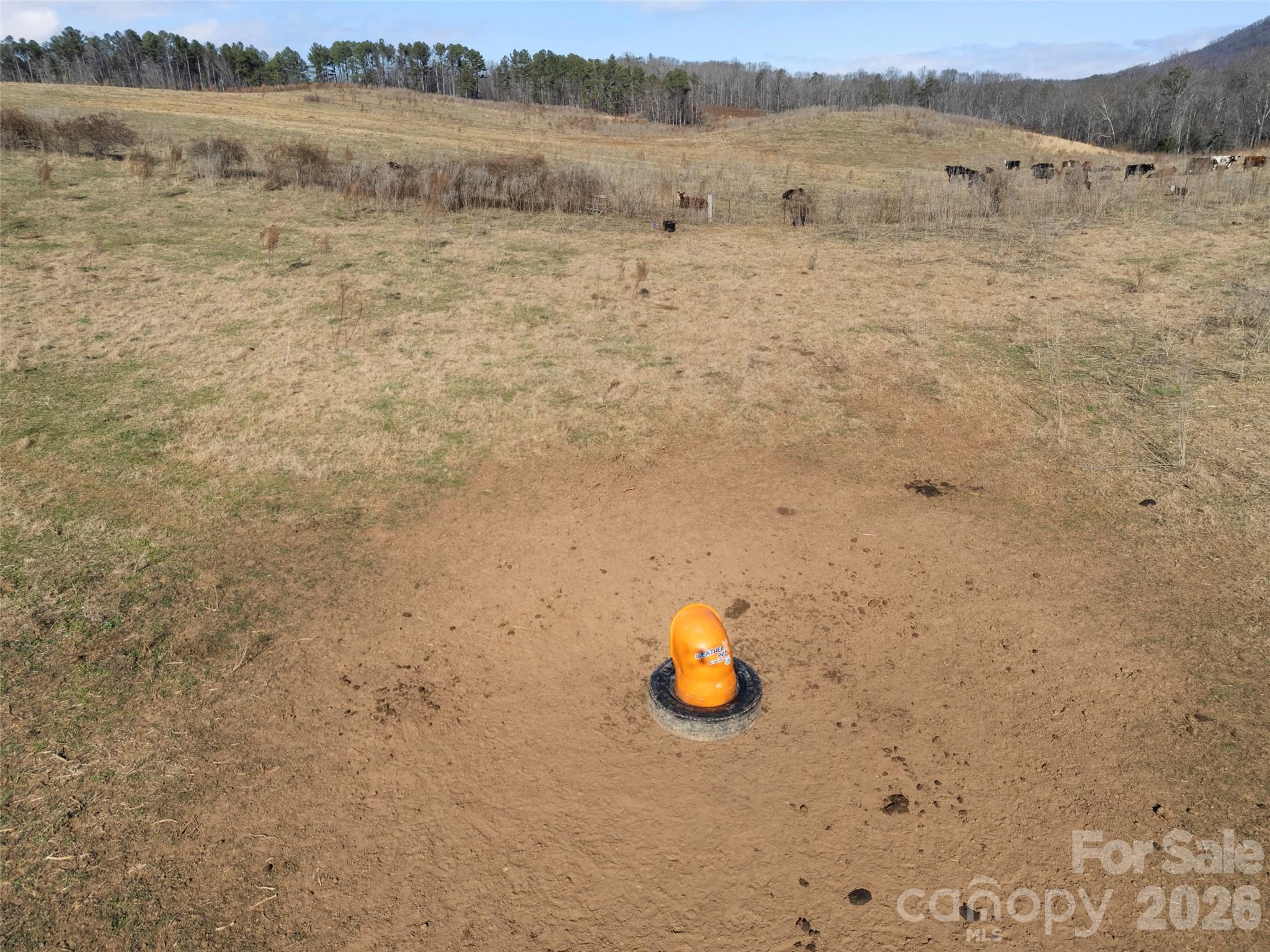 9999 Walker Road Nebo, NC 28761 - Photo 23 of 23