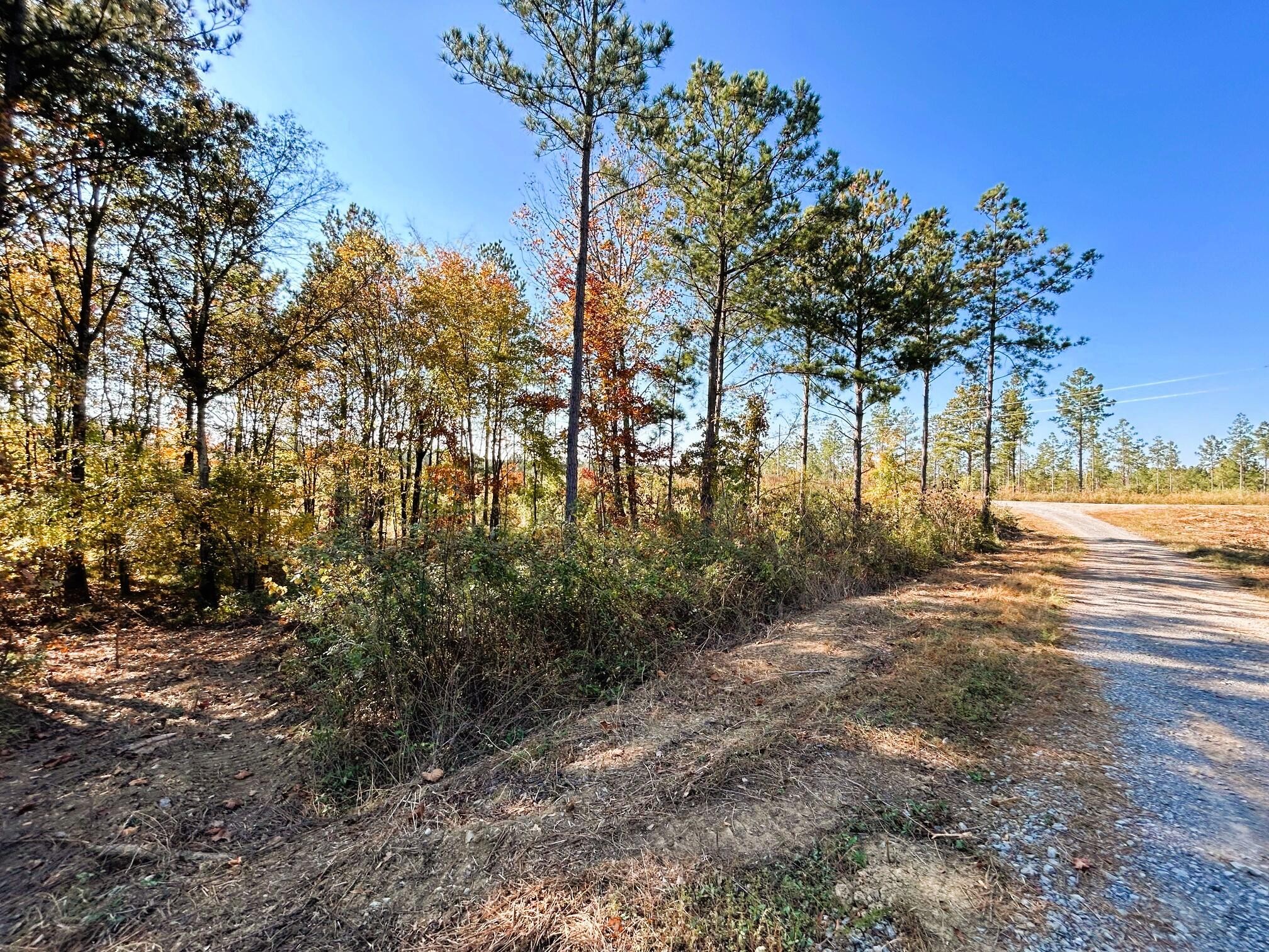 17 Hughes Lake Road Southeast Cleveland, TN 37323 - Photo 9 of 25