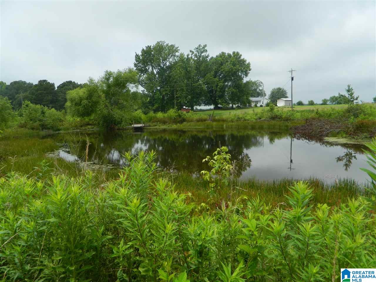0 County Road 76 Cullman, AL 35057 - Photo 4 of 14