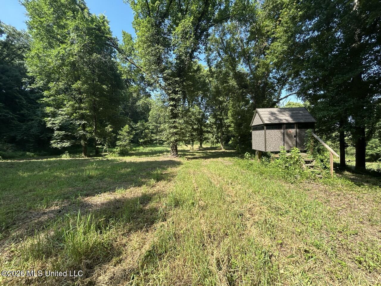 Annas Bottom Road Natchez, MS 39120 - Photo 27 of 48 IMG_4774 Large
