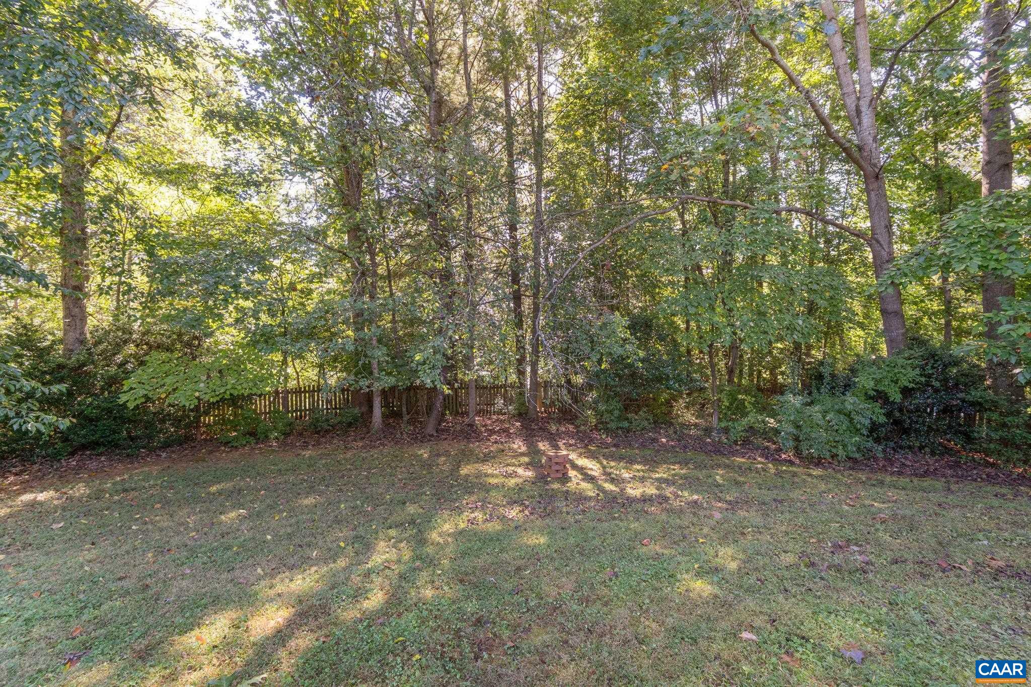 1197 Raintree Drive Charlottesville, VA 22901 - Photo 34 of 37 a view of a forest with trees in the background