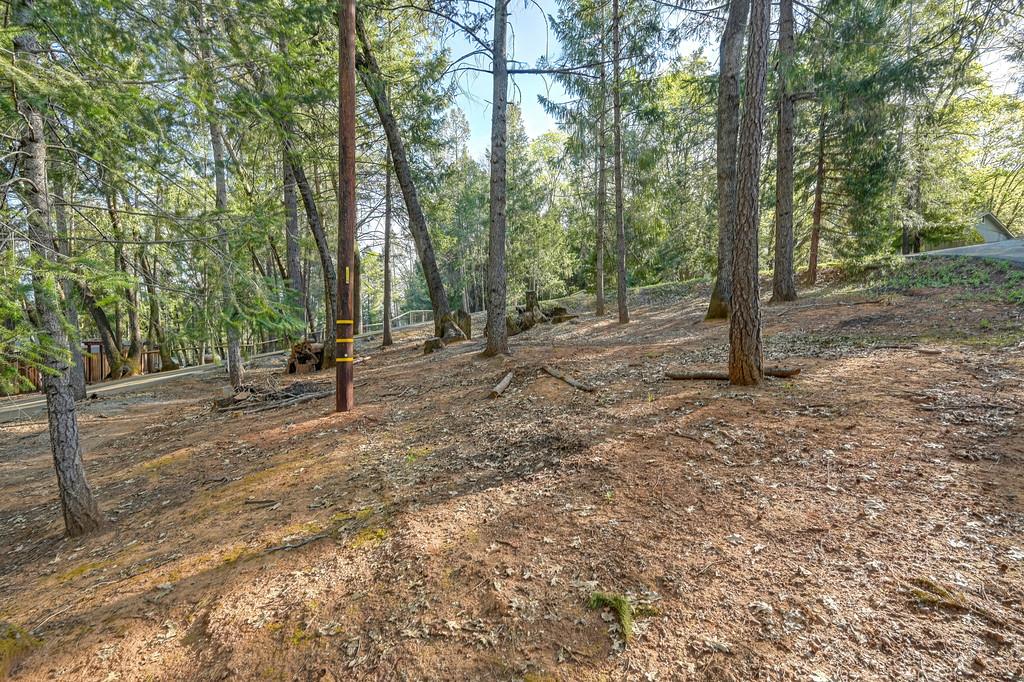 1033 R And R Place Colfax, CA 95713 - Photo 18 of 66