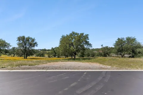 a view of a yard with a large trees