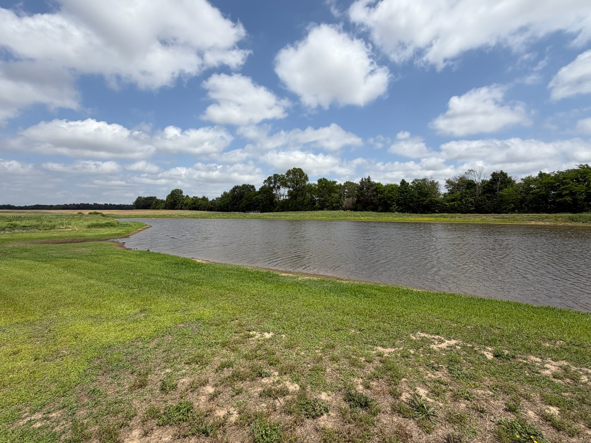 2600 State Line Road West Hazel, KY 42049 - Photo 47 of 67
