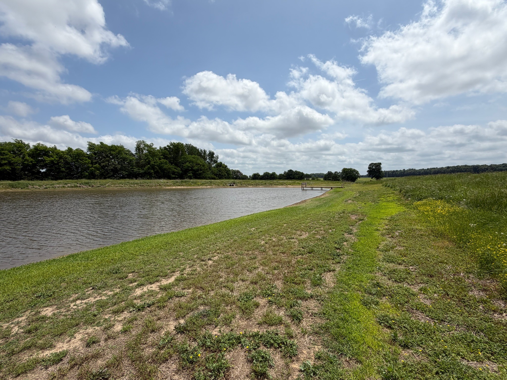 2600 State Line Road West Hazel, KY 42049 - Photo 48 of 67