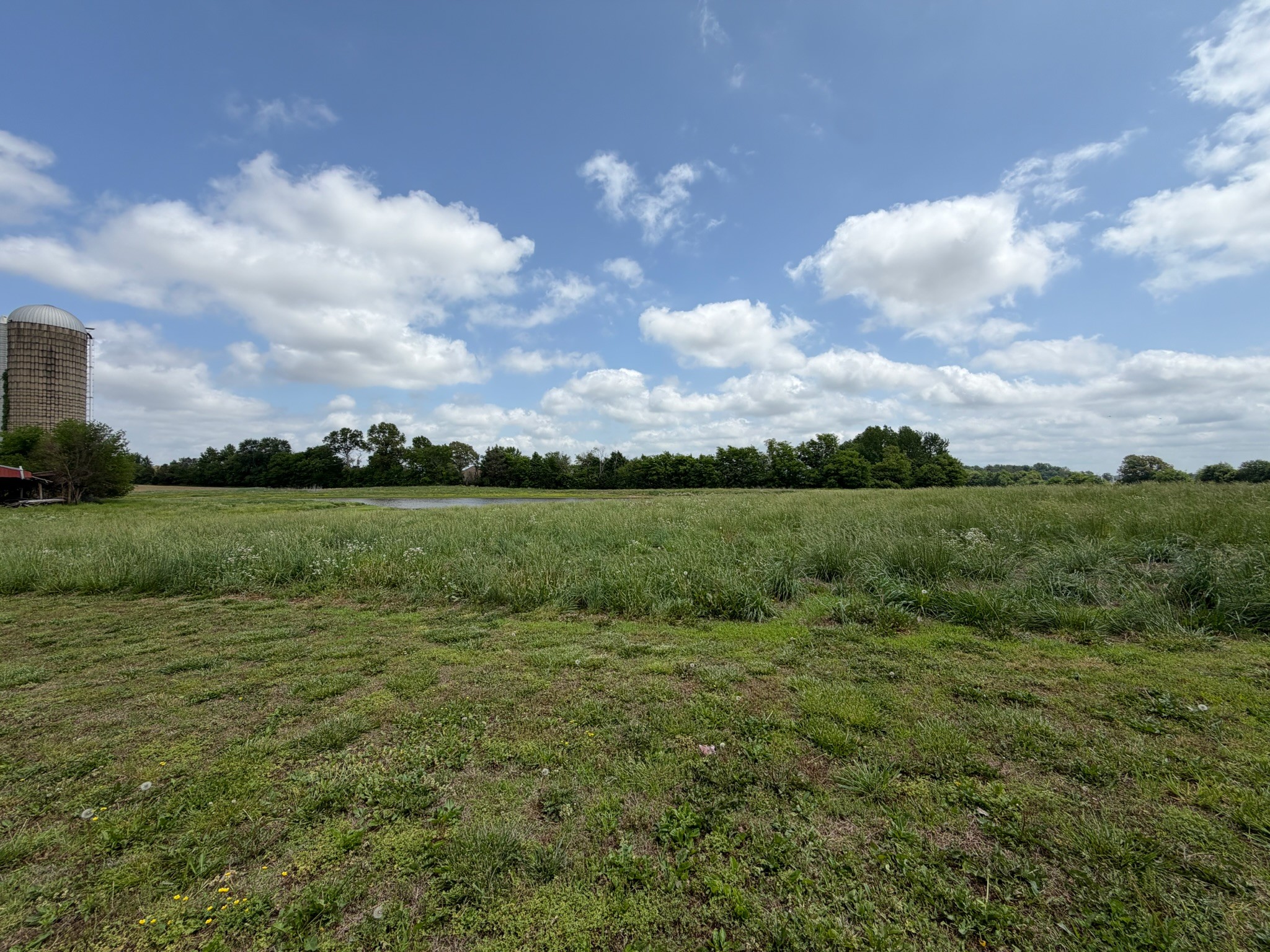 2600 State Line Road West Hazel, KY 42049 - Photo 54 of 67