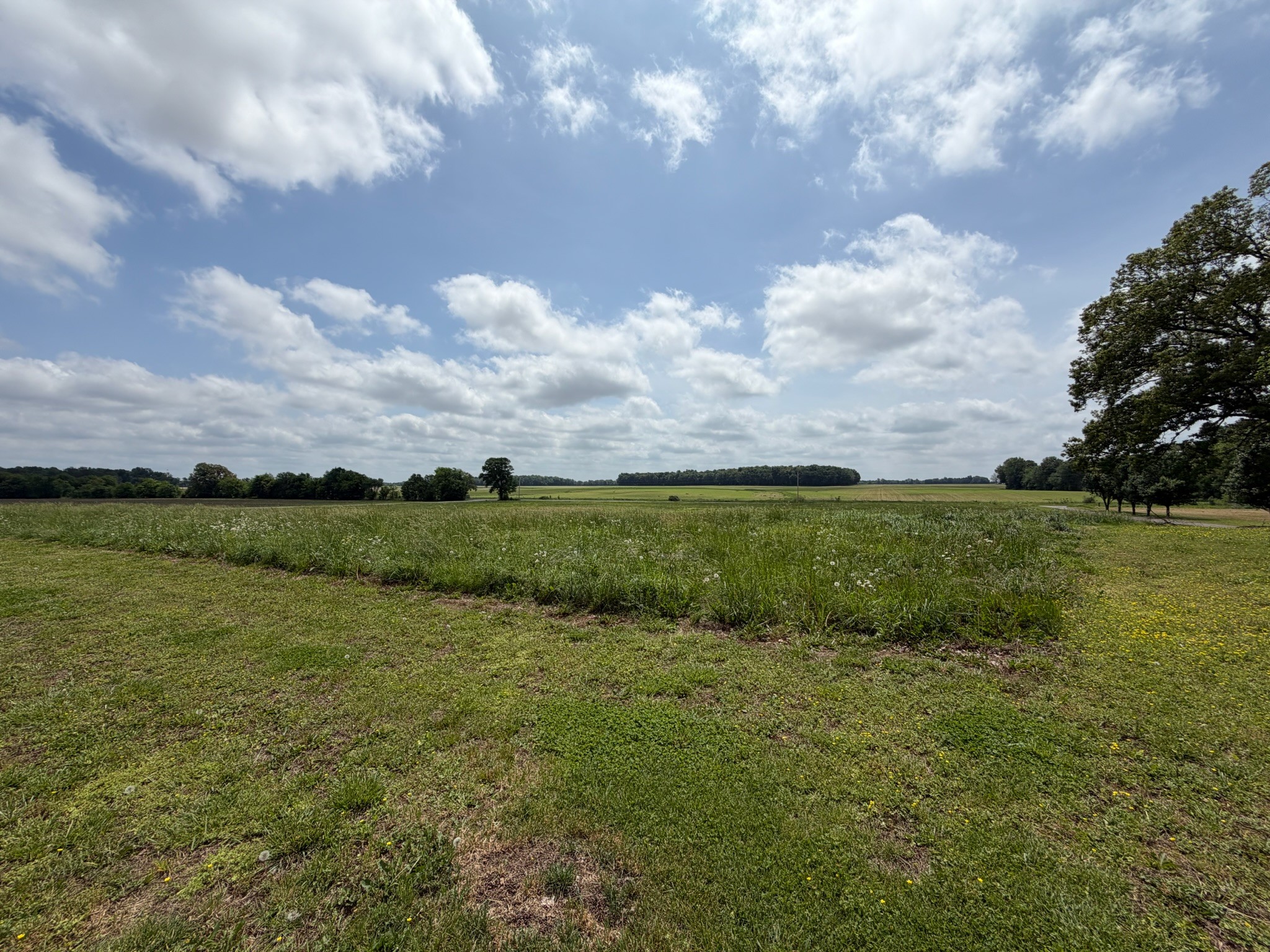2600 State Line Road West Hazel, KY 42049 - Photo 59 of 67