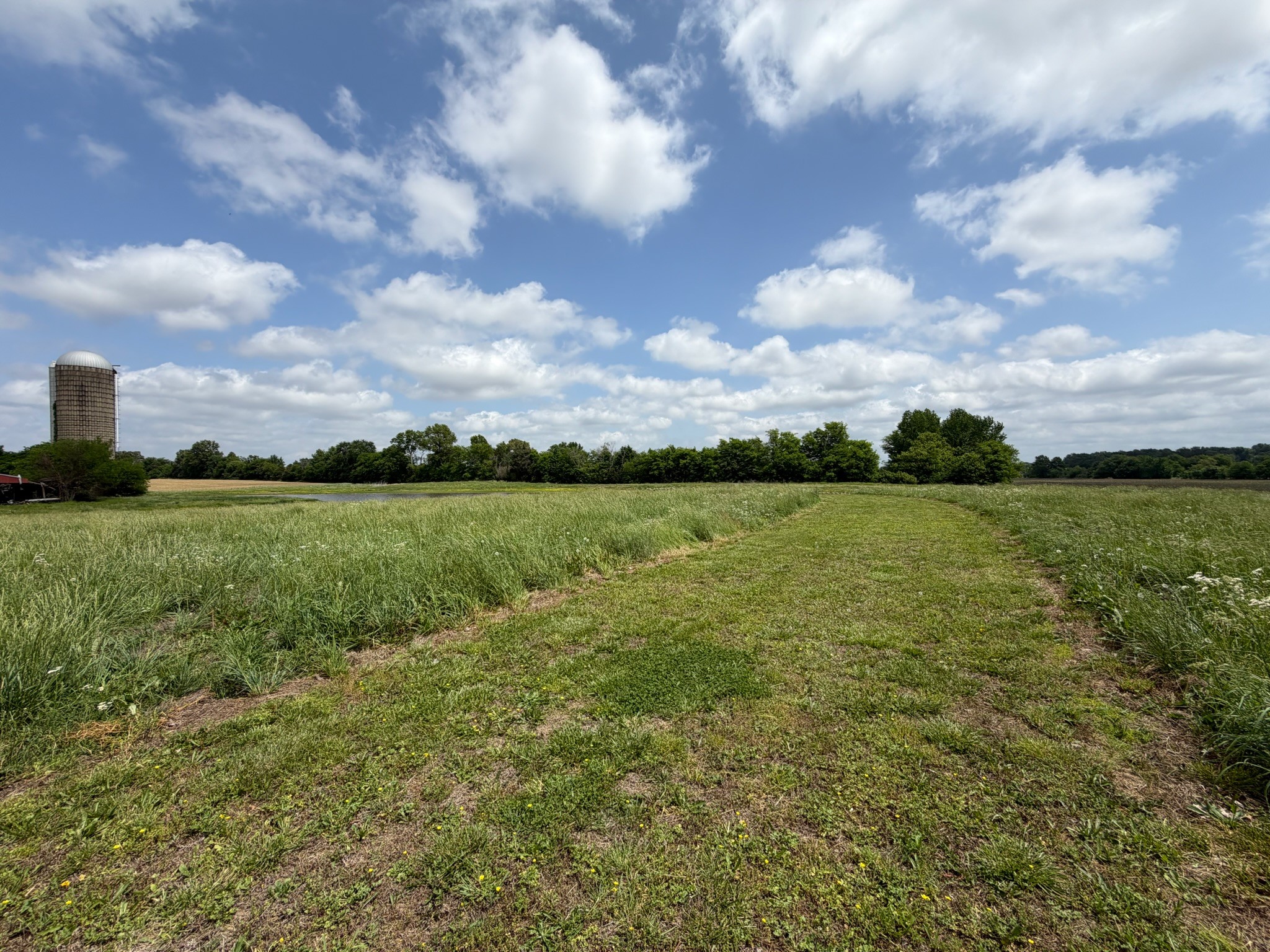 2600 State Line Road West Hazel, KY 42049 - Photo 60 of 67