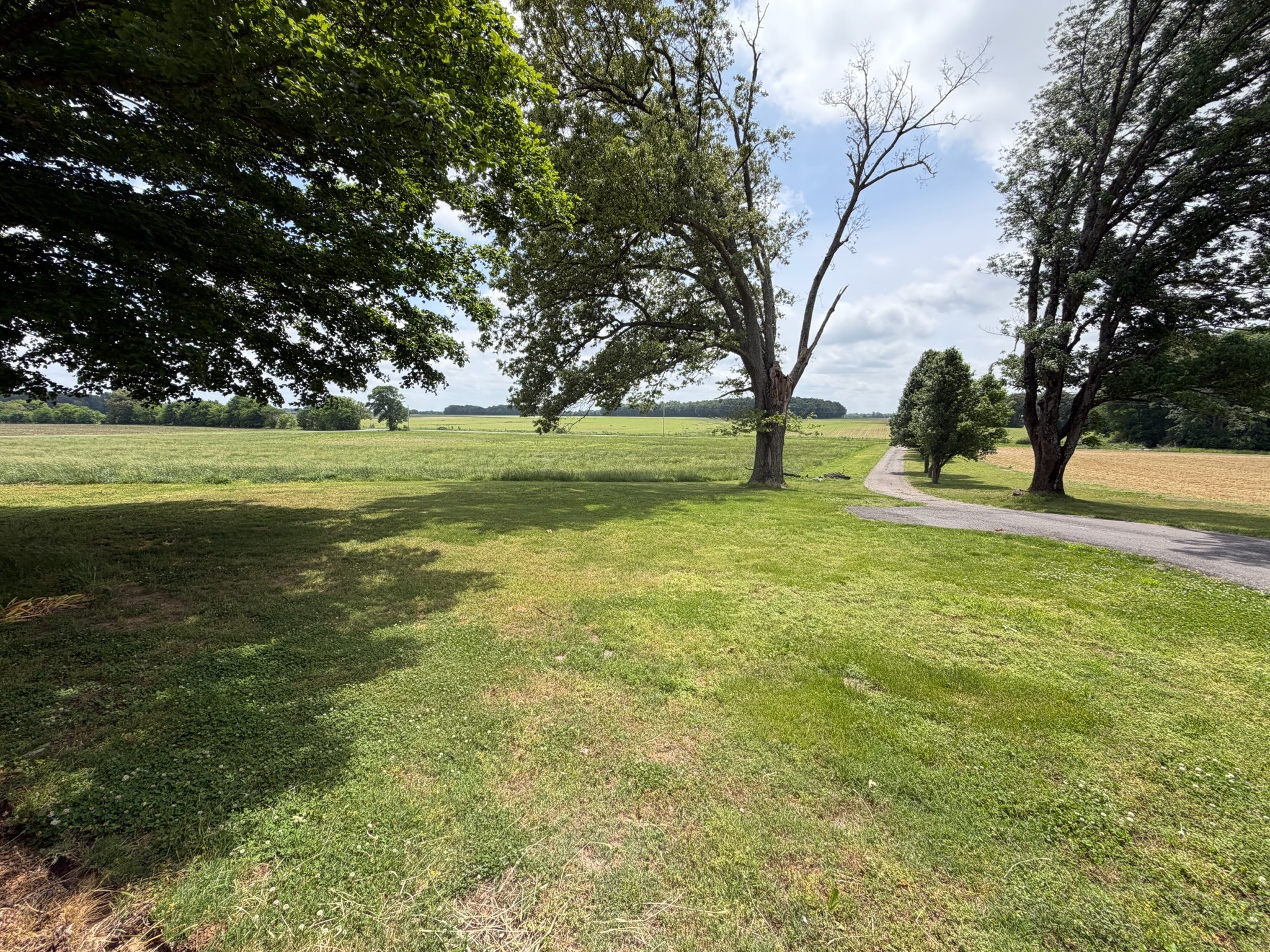 2600 State Line Road West Hazel, KY 42049 - Photo 61 of 67