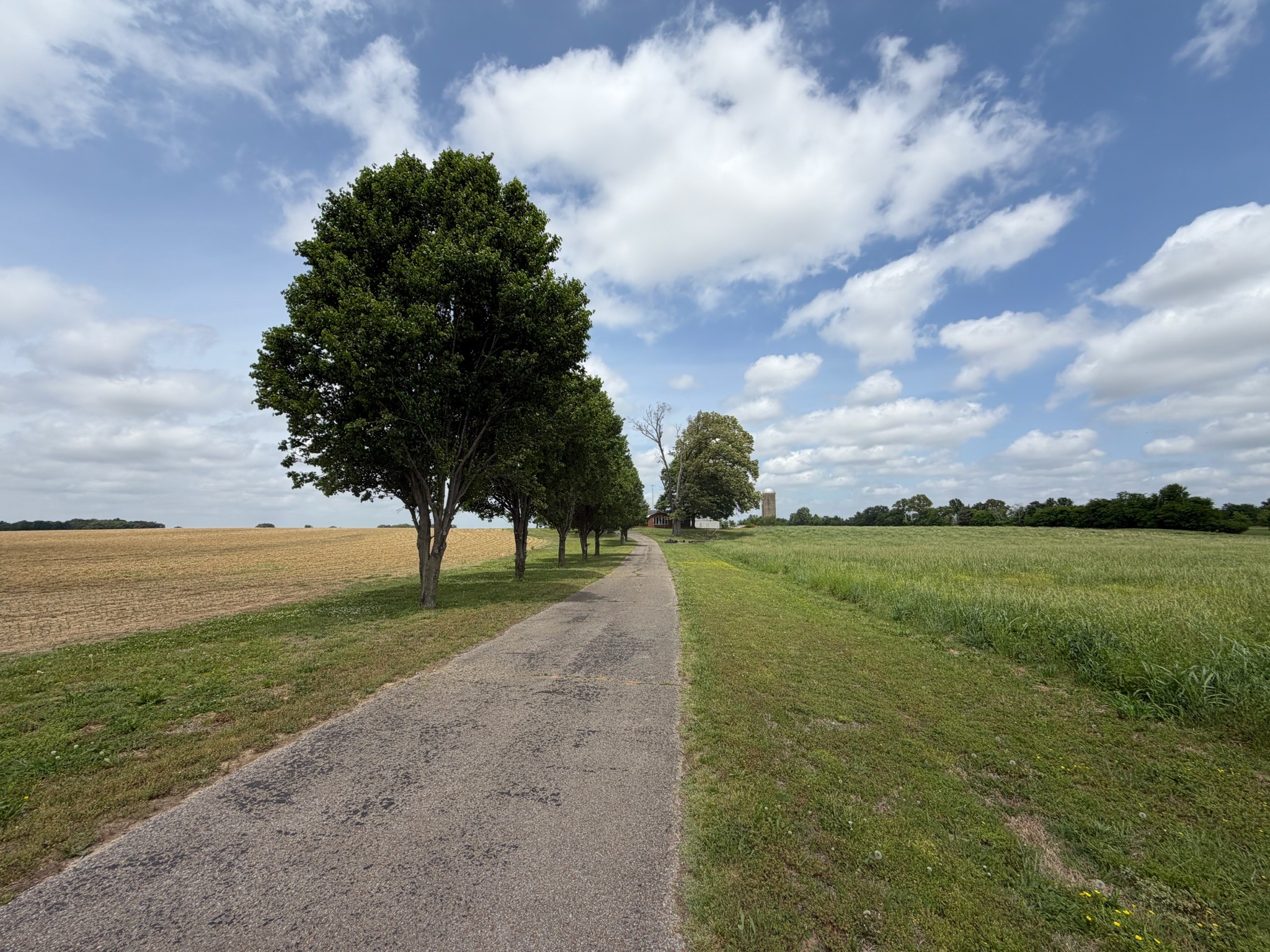 2600 State Line Road West Hazel, KY 42049 - Photo 64 of 67