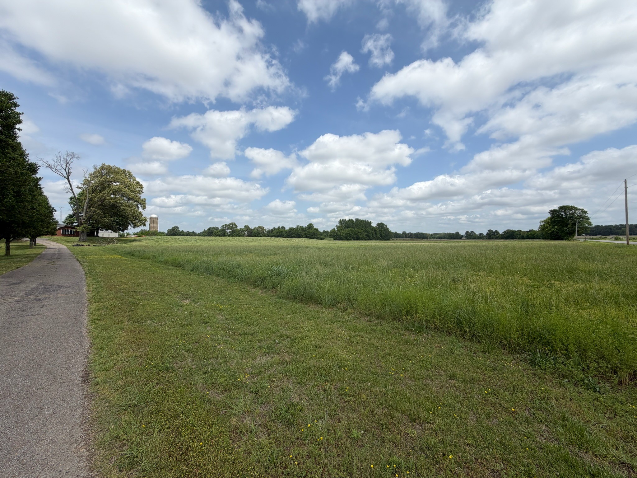 2600 State Line Road West Hazel, KY 42049 - Photo 65 of 67