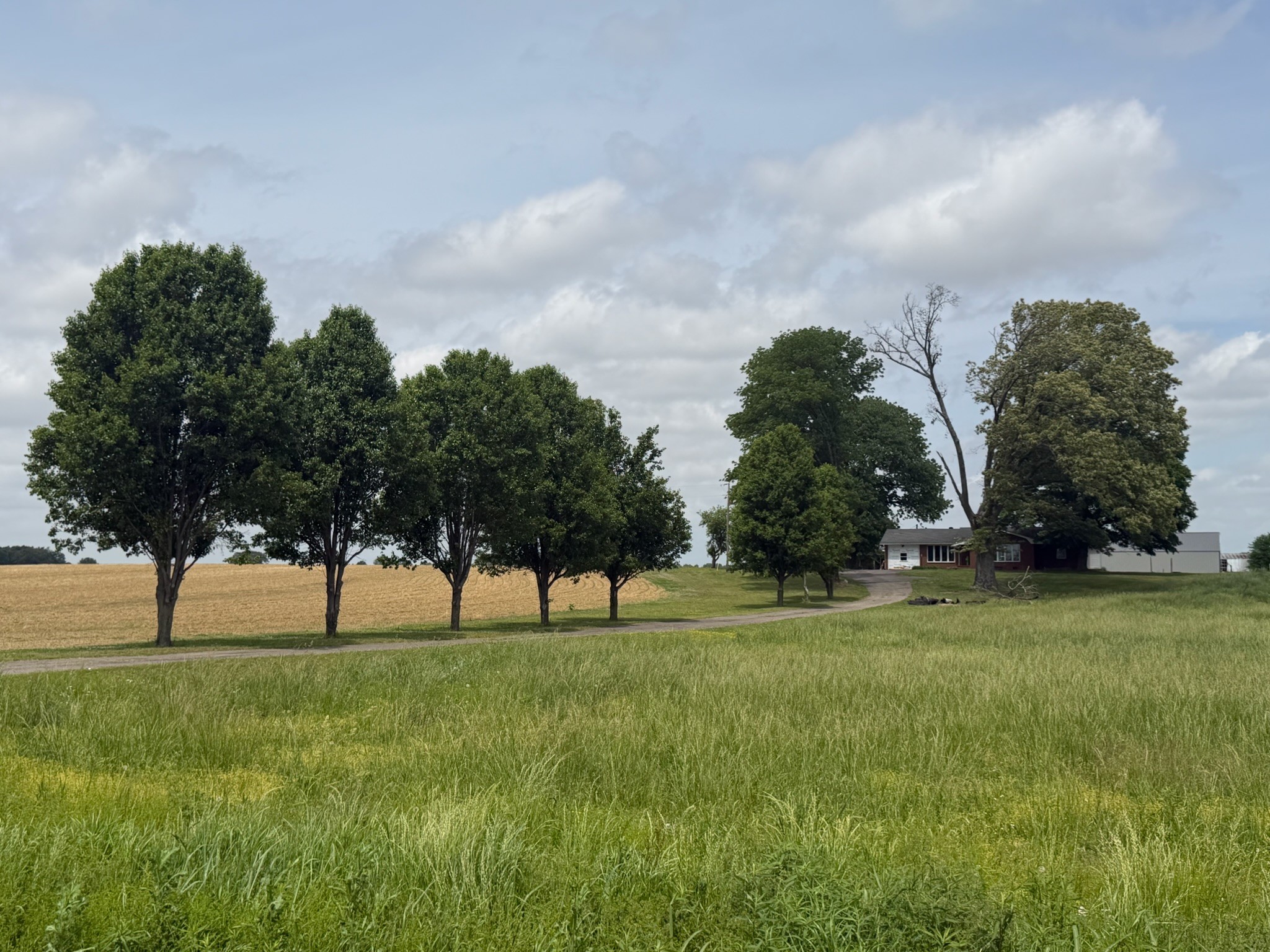 2600 State Line Road West Hazel, KY 42049 - Photo 67 of 67