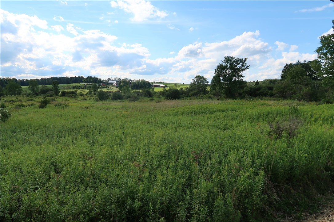 Lot 2 German Road Cincinnatus, NY 13040 - Photo 1 of 1 Gallery Image 1