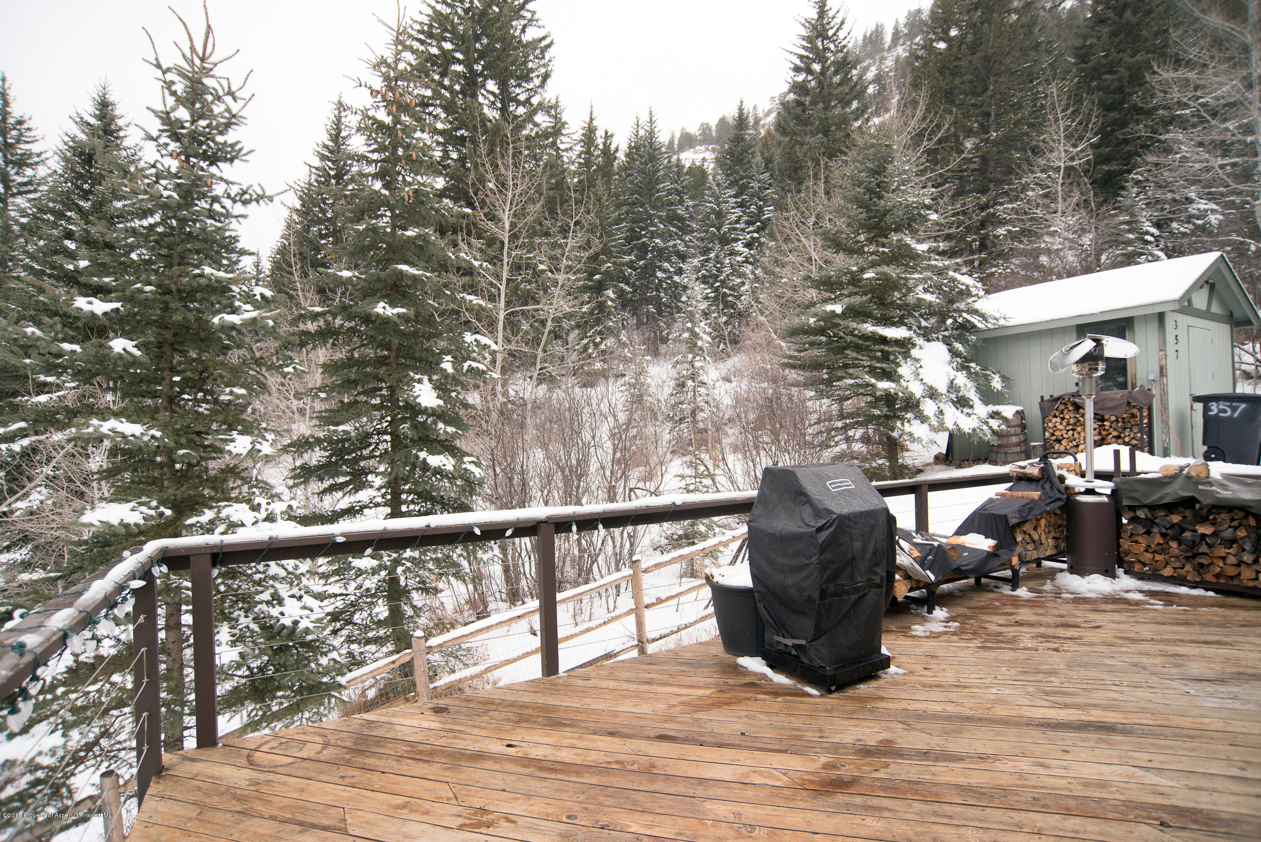 357 Elk Mountain Drive Redstone, CO 81623 - Photo 35 of 40 a view of a two chairs and table in the patio