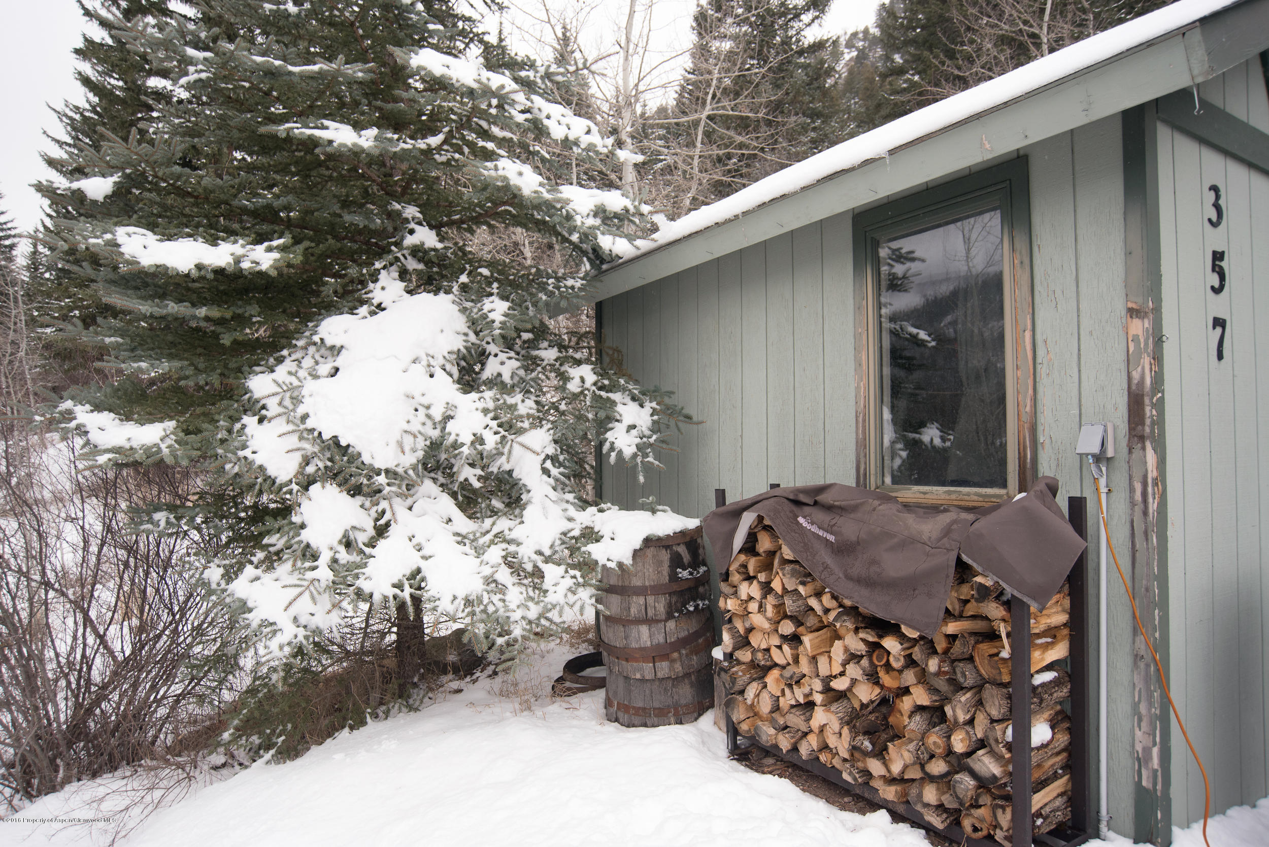 357 Elk Mountain Drive Redstone, CO 81623 - Photo 36 of 40