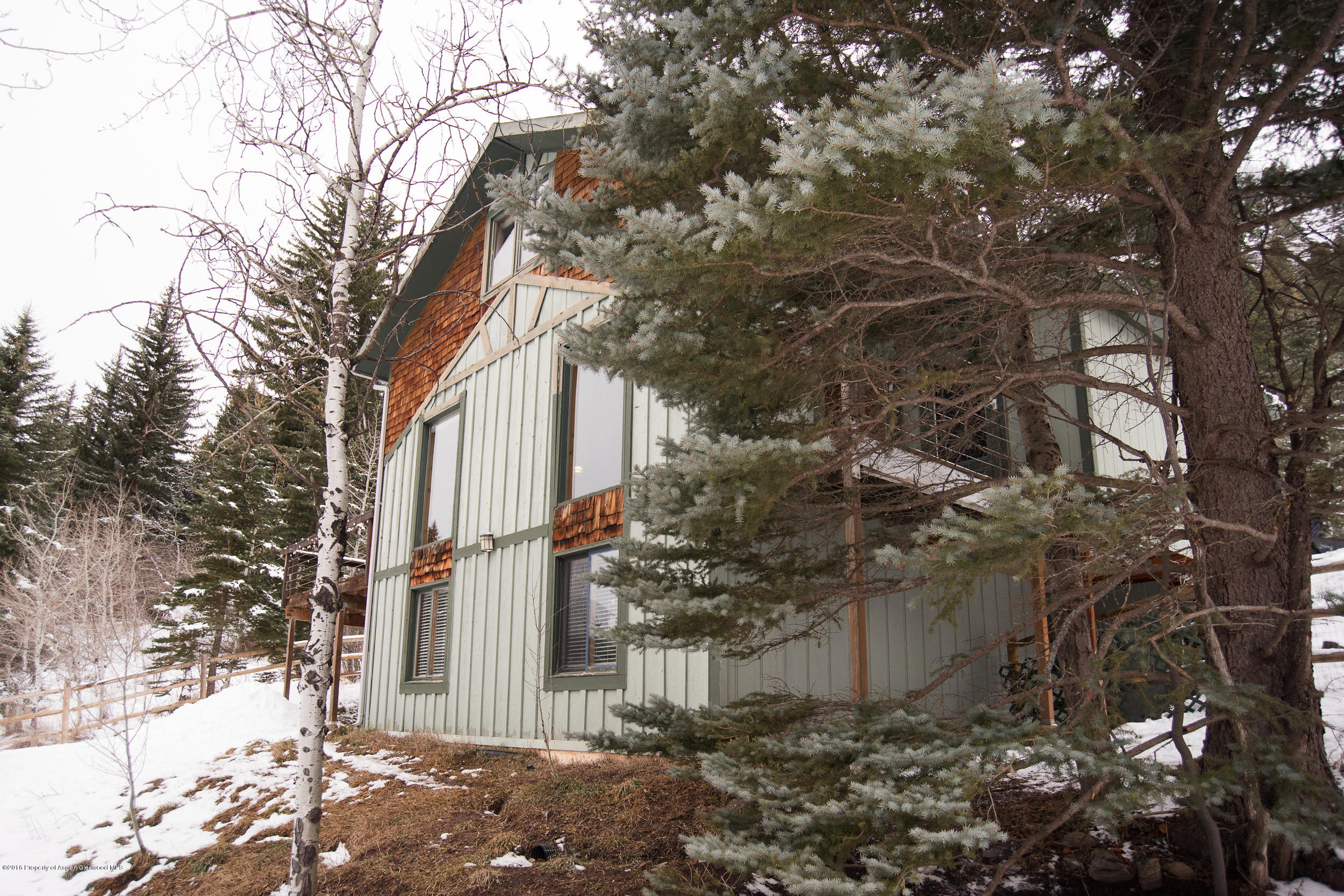 357 Elk Mountain Drive Redstone, CO 81623 - Photo 37 of 40 a view of a house with a tree