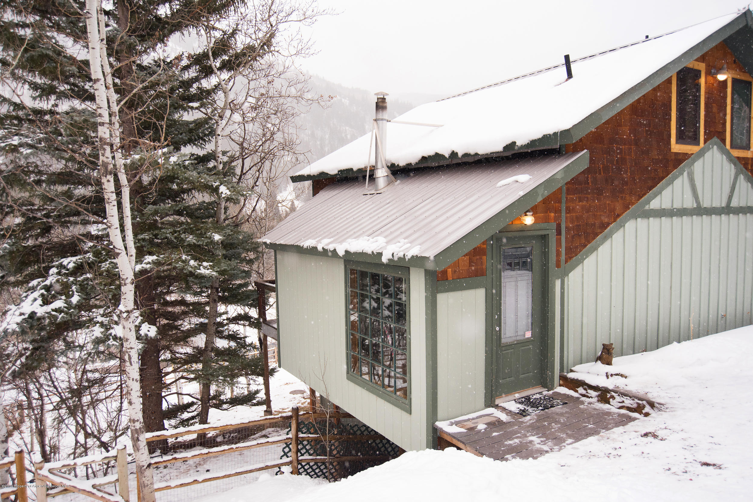 357 Elk Mountain Drive Redstone, CO 81623 - Photo 4 of 40 a balcony view with a couple of potted plants