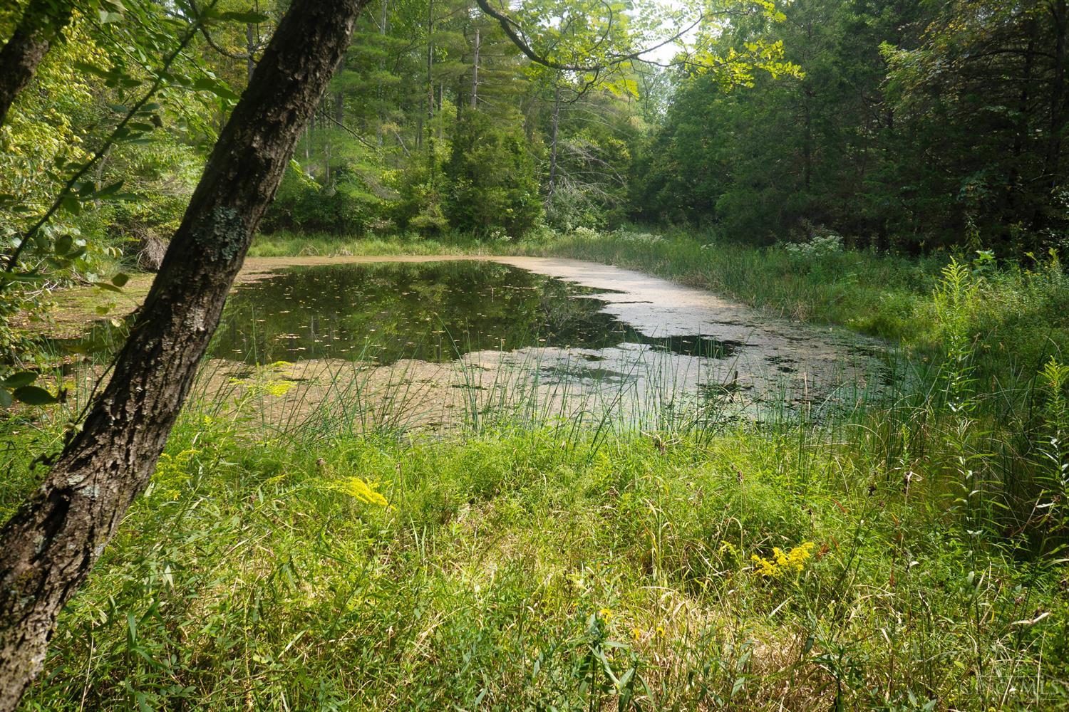 0 State Rte 41 Peebles, OH 45660 - Photo 21 of 25