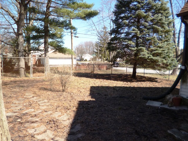 1802 Evergreen Road Homewood, IL 60430 - Photo 22 of 23 a view of yard with trees