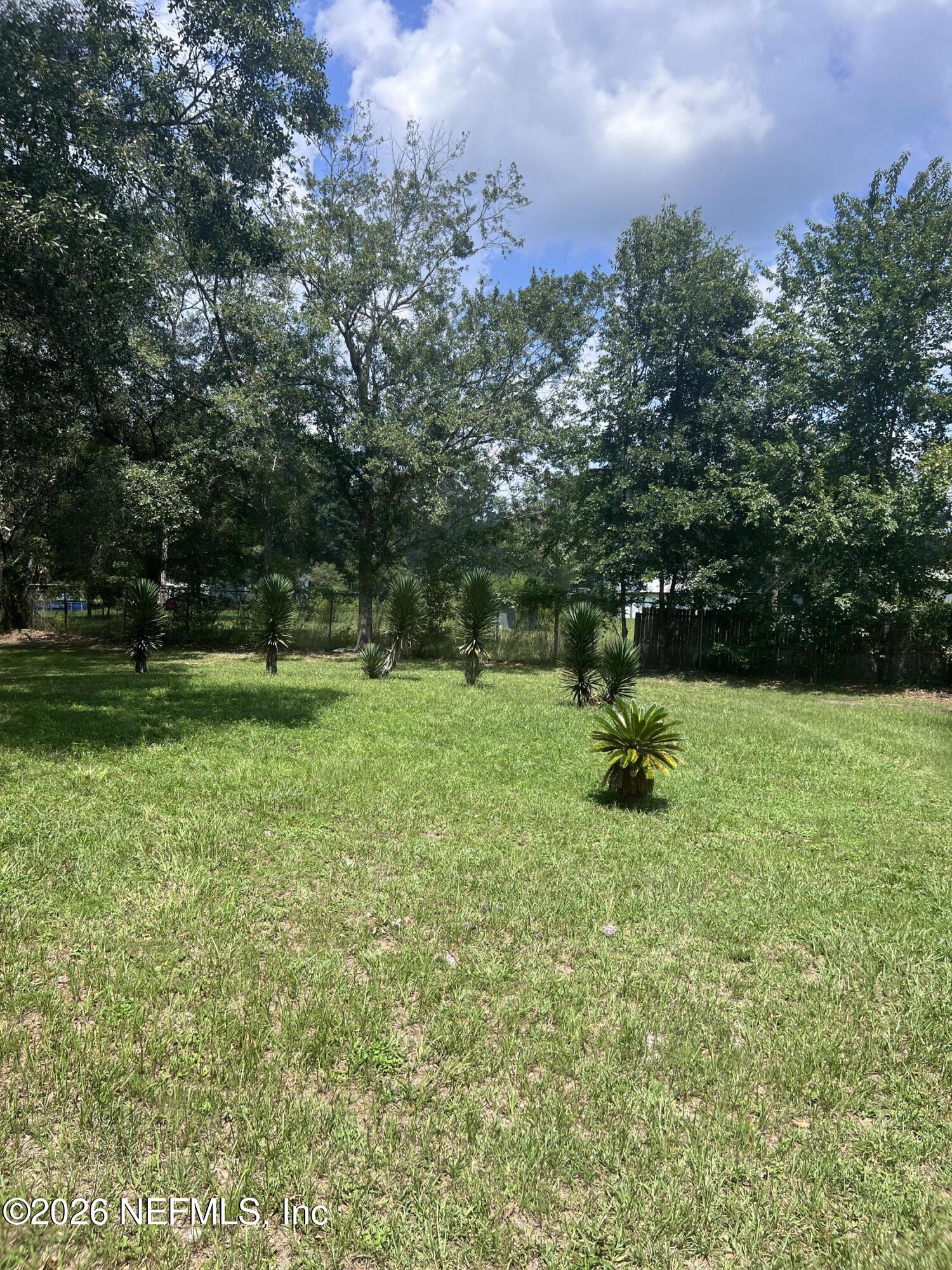 4002 Pinto Road Middleburg, FL 32068 - Photo 14 of 15 Backyard
