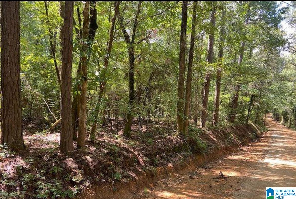 458 County Road, Unit 1 Clanton, AL 35046 - Photo 3 of 12