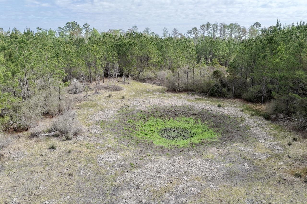 Vacant Southwest Vacant Sw Captain Brown Road Madison, FL 32340 - Photo 22 of 37
