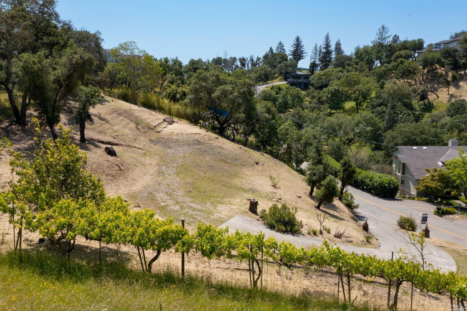 5159 Vista Grande Drive Santa Rosa, CA 95403 - Photo 12 of 30 a view of a lake with a house in the background