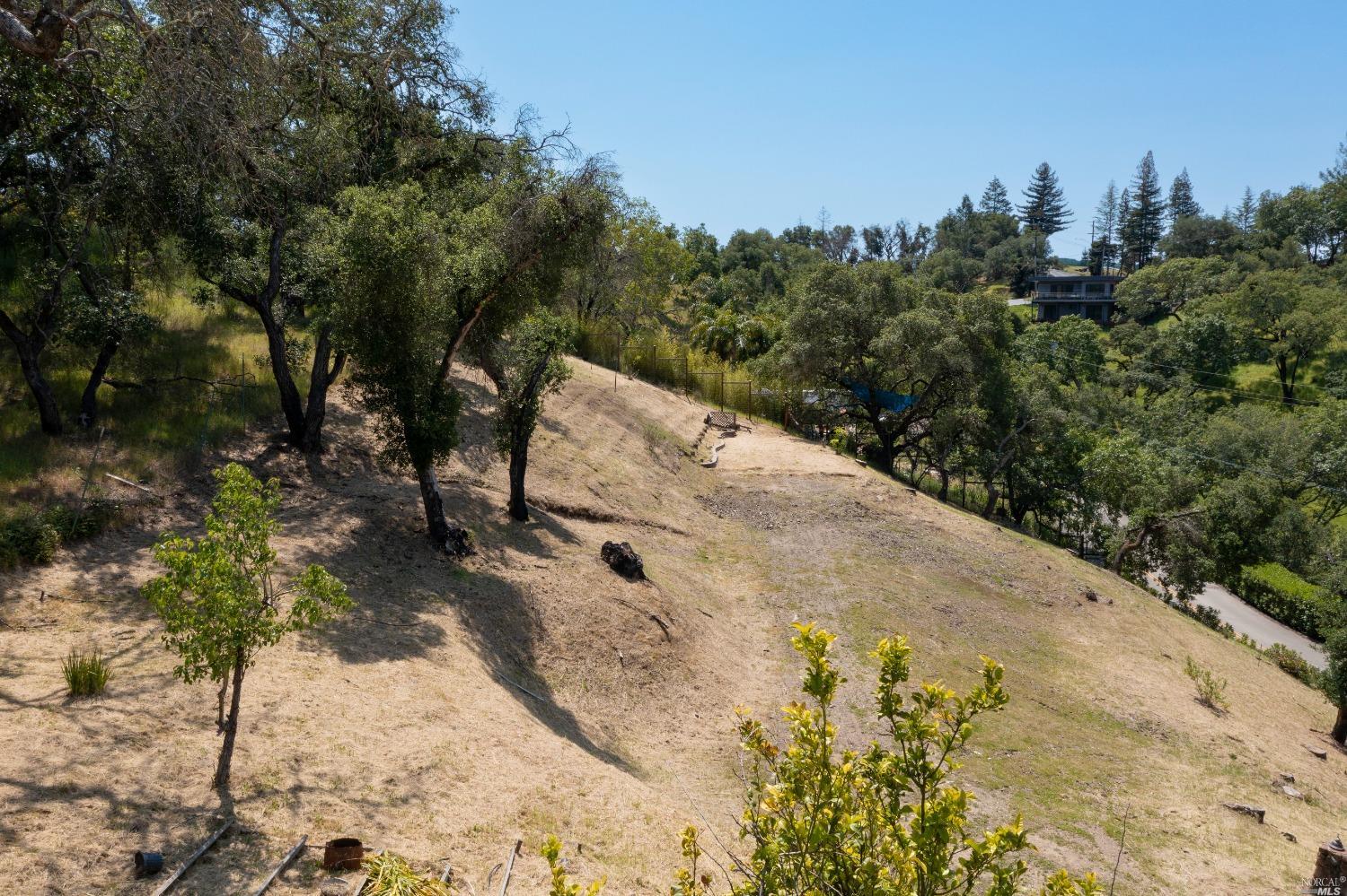 5159 Vista Grande Drive Santa Rosa, CA 95403 - Photo 15 of 30 a view of a yard with trees