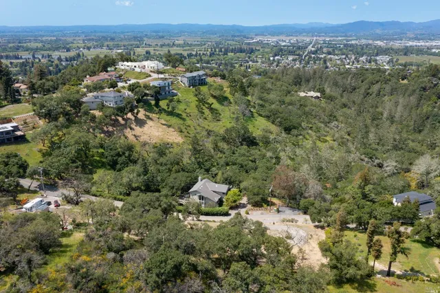 a view of a forest with a sink and a yard