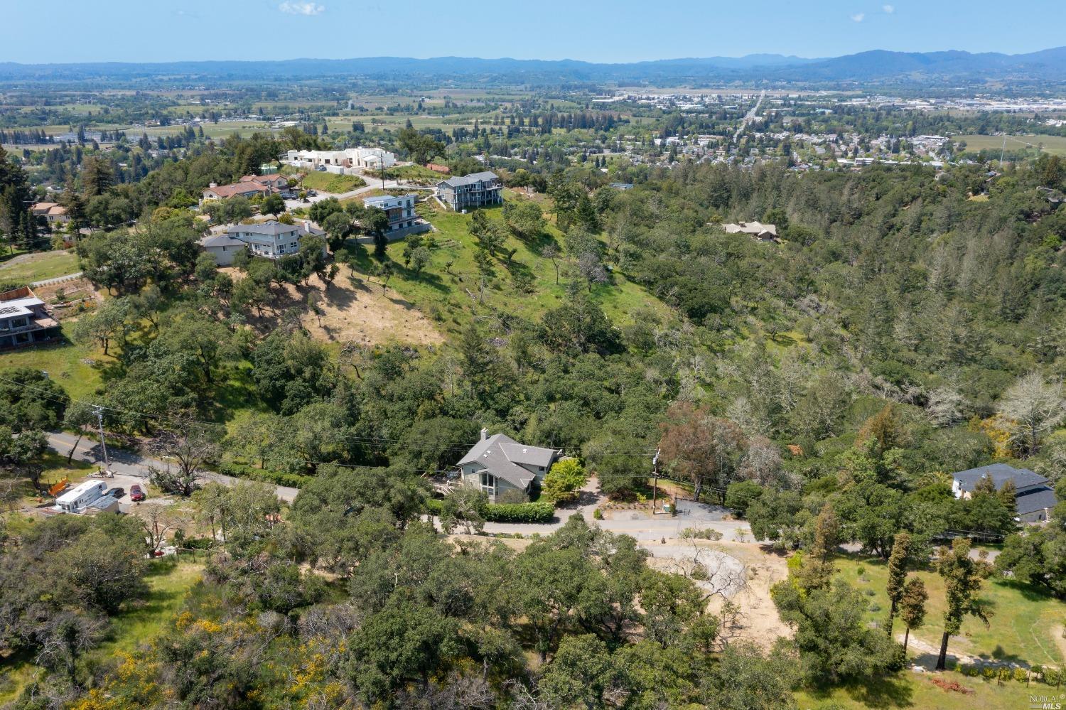 5159 Vista Grande Drive Santa Rosa, CA 95403 - Photo 16 of 30 a view of a forest with a sink and a yard