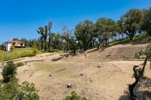 a view of a yard with a tree
