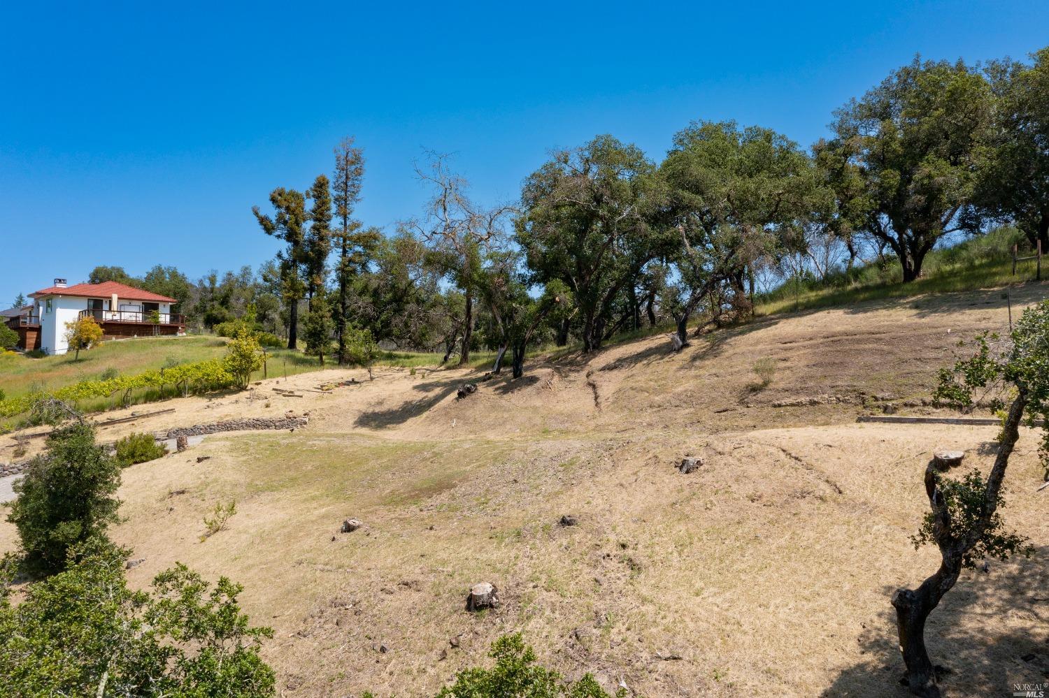 5159 Vista Grande Drive Santa Rosa, CA 95403 - Photo 17 of 30 a view of a yard with a tree