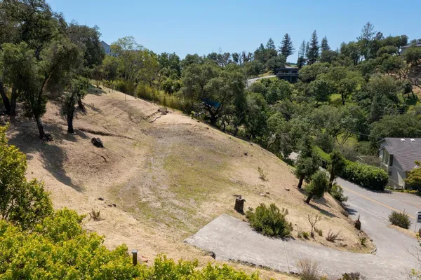 a view of a dry yard with trees