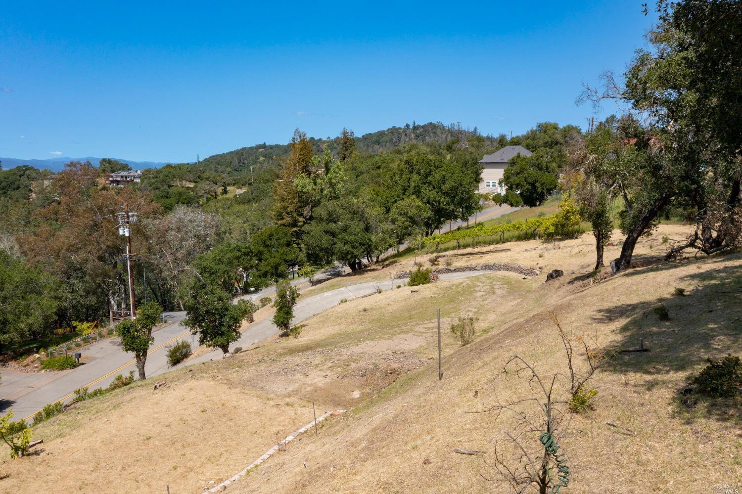 5159 Vista Grande Drive Santa Rosa, CA 95403 - Photo 25 of 30 a view of a yard with a tree