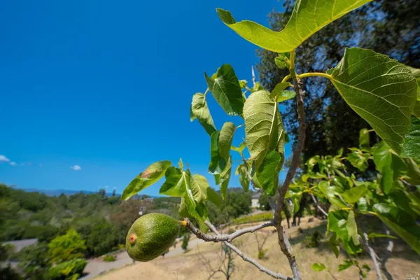 $280,000 | 5159 Vista Grande Drive, Santa Rosa, CA 95403