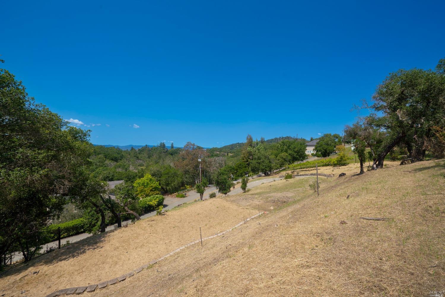 5159 Vista Grande Drive Santa Rosa, CA 95403 - Photo 5 of 30 a view of a road with a trees in the background